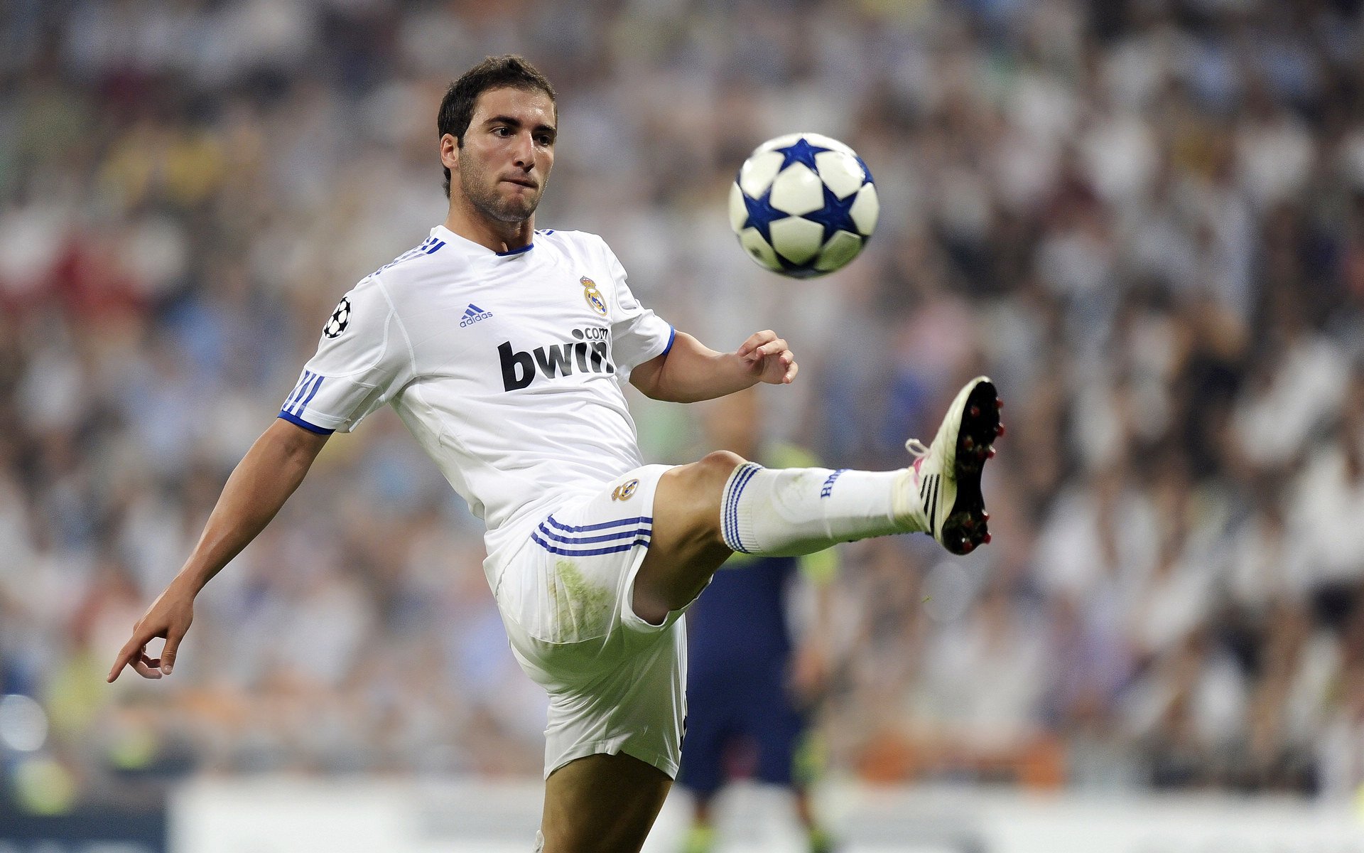 无解之壁,世界排名之夜,李刚仁如何被沉默的利刃彻底封印?